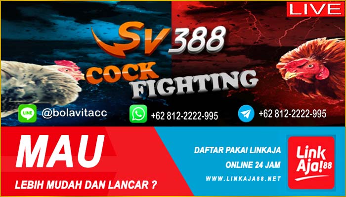 Situs Sabung Ayam Sv388